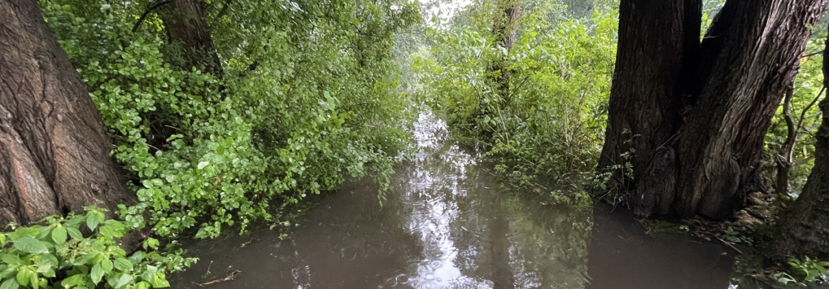Hochwasser im Diekmoor – Blick auf den Bornbach