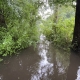 Hochwasser im Diekmoor – Blick auf den Bornbach